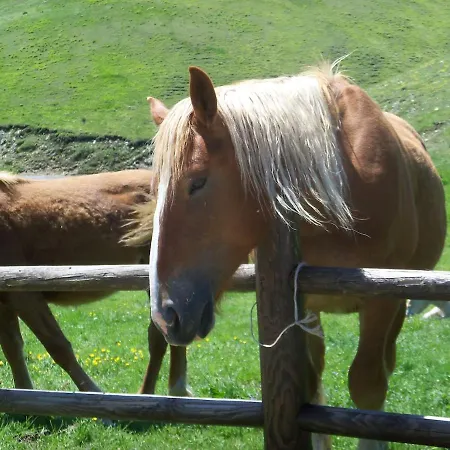 La Casa Del Priore - Centro Storico