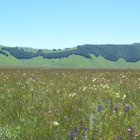La Casa Del Priore - Centro Storico Apartamento
