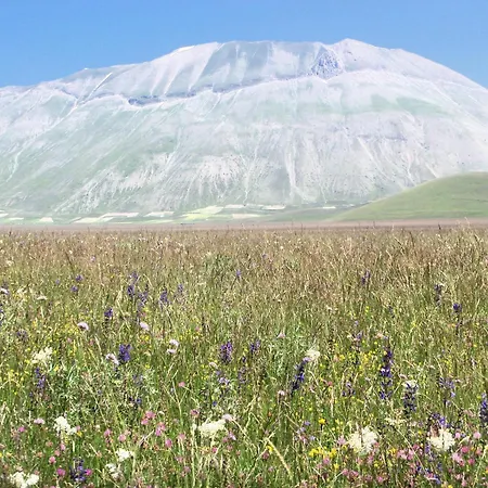 La Casa Del Priore - Centro Storico Apartment Norcia