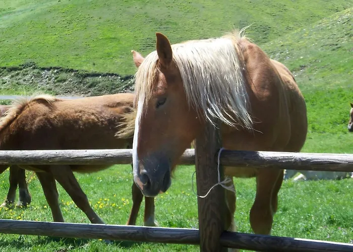 La Casa Del Priore - Centro Storico