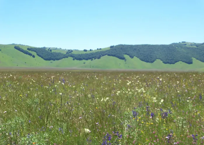 La Casa Del Priore - Centro Storico Apartment