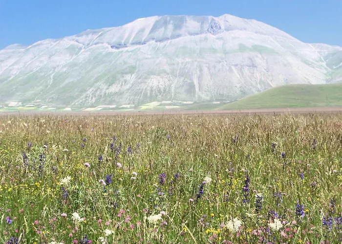 La Casa Del Priore - Centro Storico Apartament Nursja